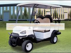২-সিটার / ২+২-সিটার ইলেকট্রিক গল্ফ কার্ট লিড-এসিড ব্যাটারি / লিথিয়াম ব্যাটারি